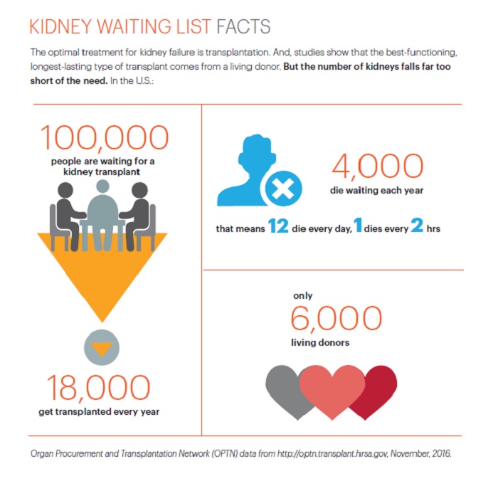 living kidney donor program